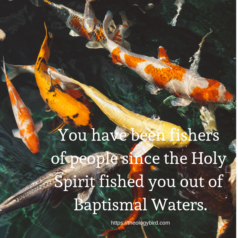 Over a picture of multicoloured koi, text reads "you have been fishers of people since the Holy Spirit fished you out of Baptismal Waters."
below is a website url: https://theologybird.com