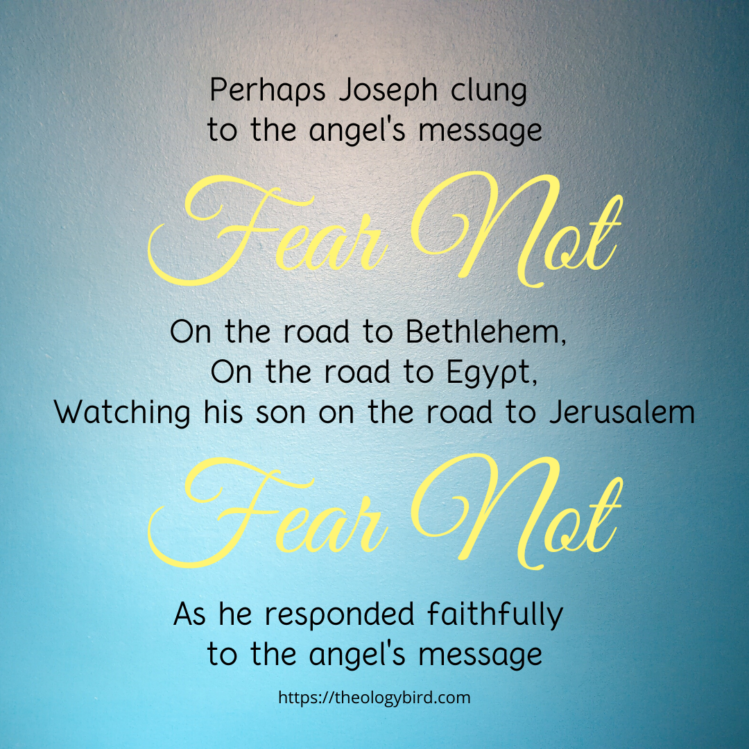 fear-not-advent-2019-theologybird-writes
